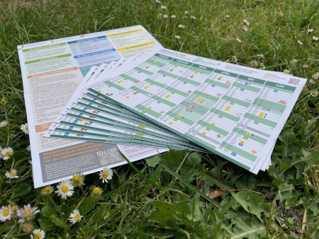 A.V.E. informiert über Abfallkalender für 2026 und Alternativen. © A.V.E. Eigenbetrieb